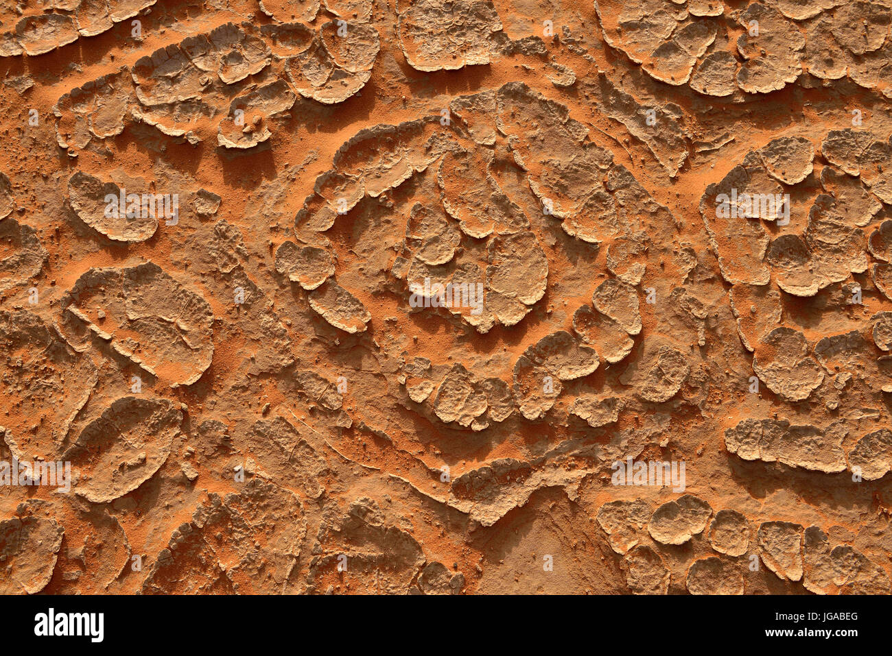 Cracked mud patterns on the playa, Tassili n'Ajjer National Park, Sahara desert, Algeria Stock Photo