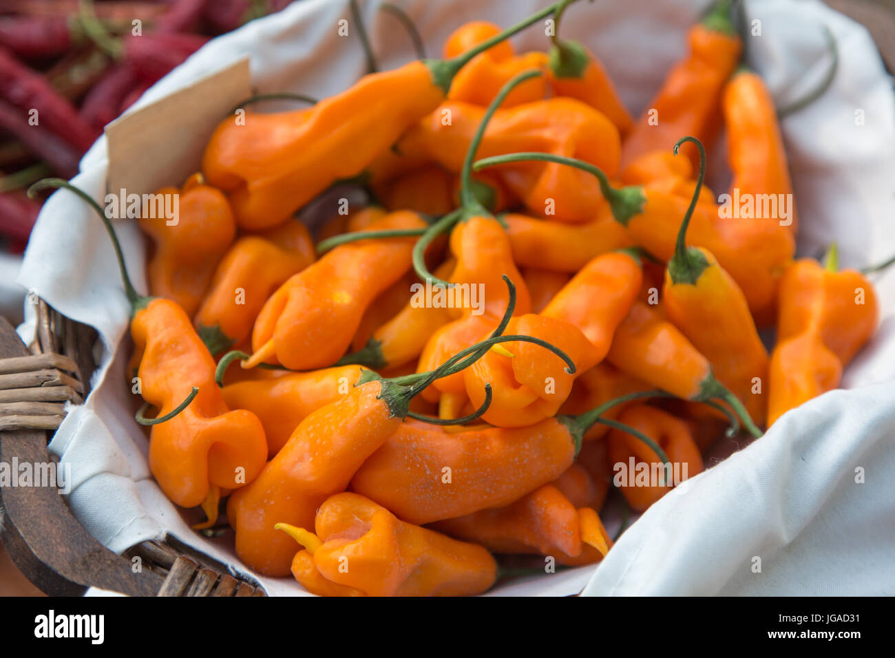 Orange Dried Chili Peppers inside White Bowl Stock Photo Alamy