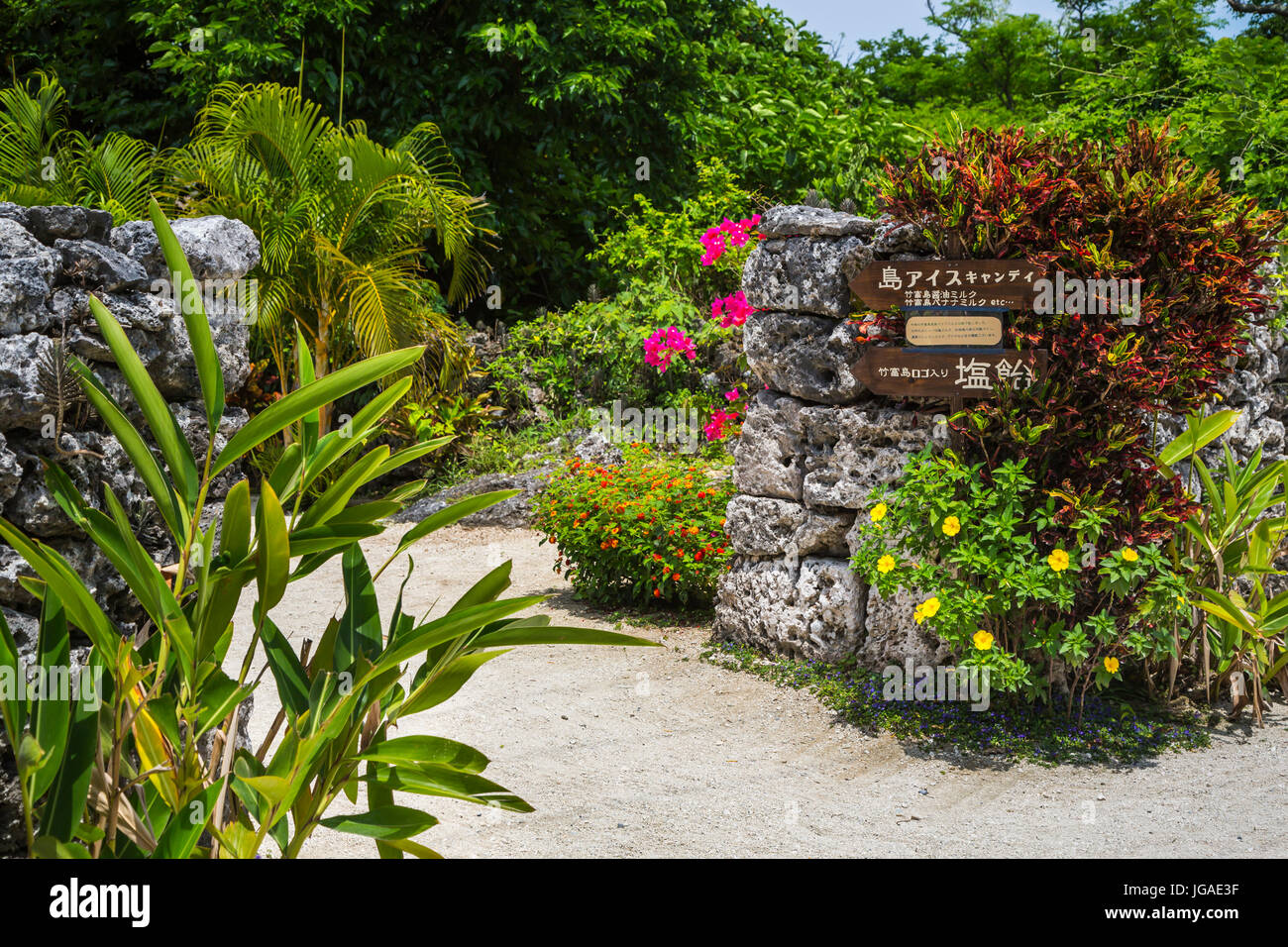 Sand street with bougainvillea flowers, and stone fencing in a village on Taketomi Island, Okinawa Prefecture, Japan. Stock Photo