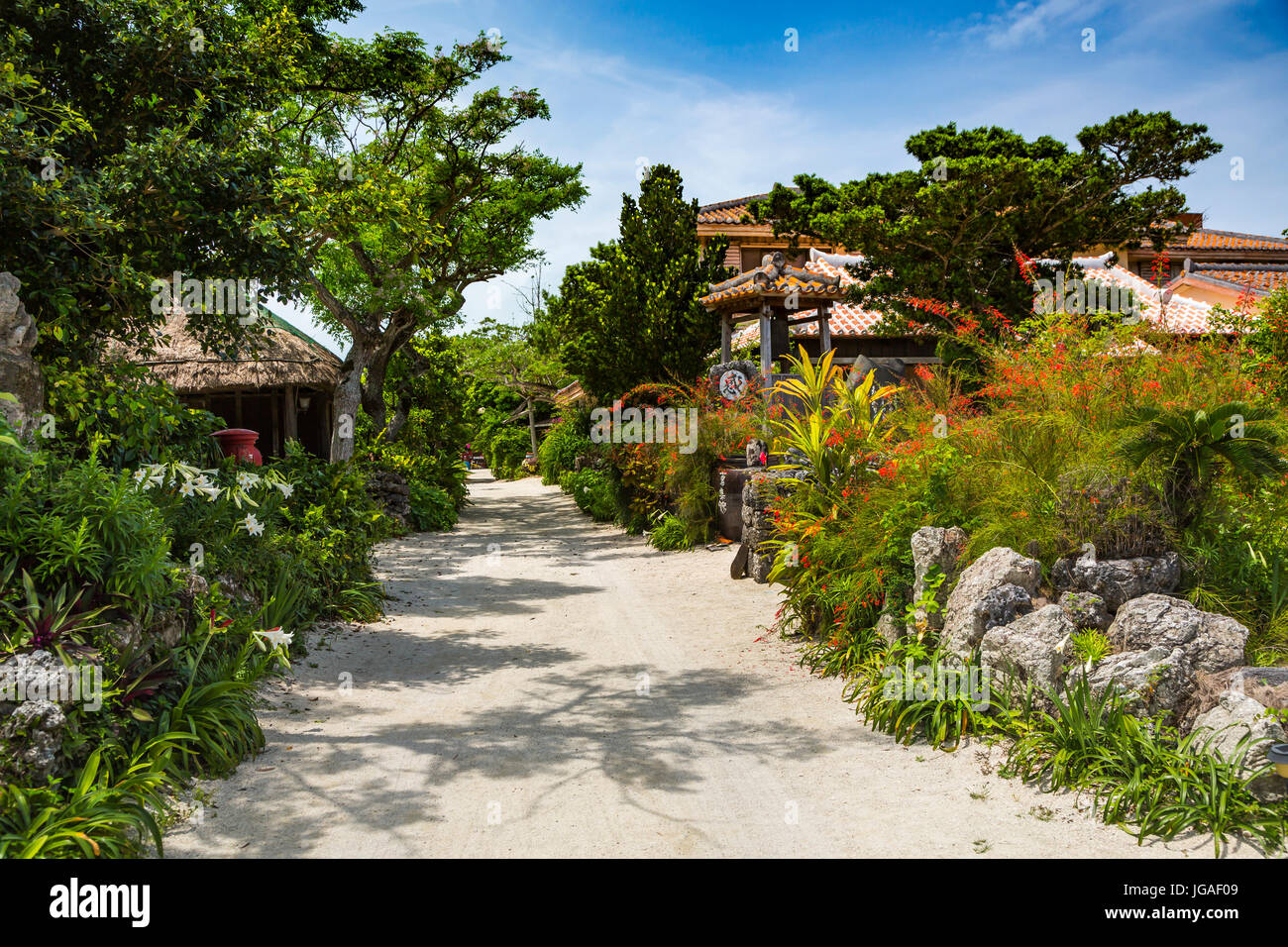 Sand street with bougainvillea flowers, and stone fencing in a village on Taketomi Island, Okinawa Prefecture, Japan. Stock Photo
