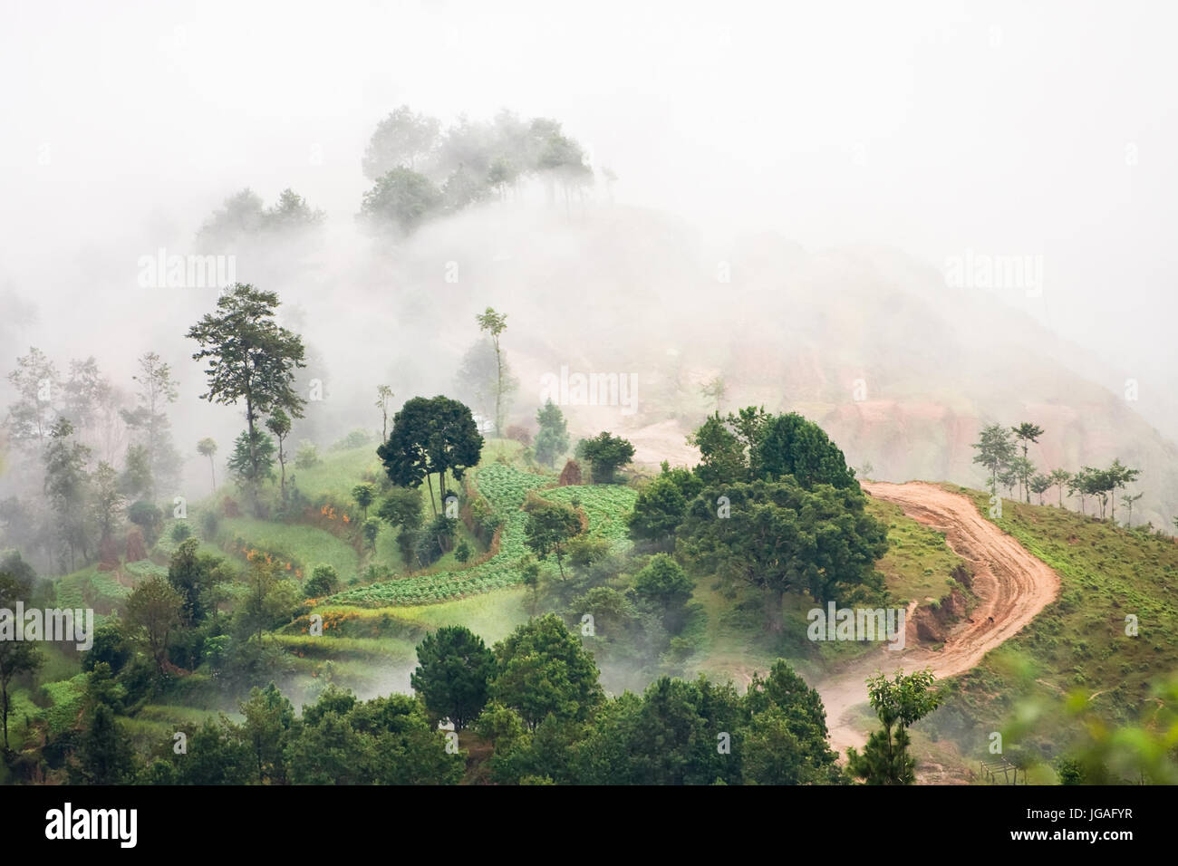 View of the sea of clouds around a small island of land. Nepal, Nagarkot village. Stock Photo