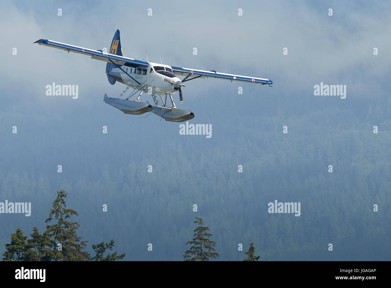 Harbour Air Seaplanes de Havilland Canada DHC-3-T Turbo Otter Floatplane Flying Low Over Forrest Woodland In British Columbia, Canada. Stock Photo