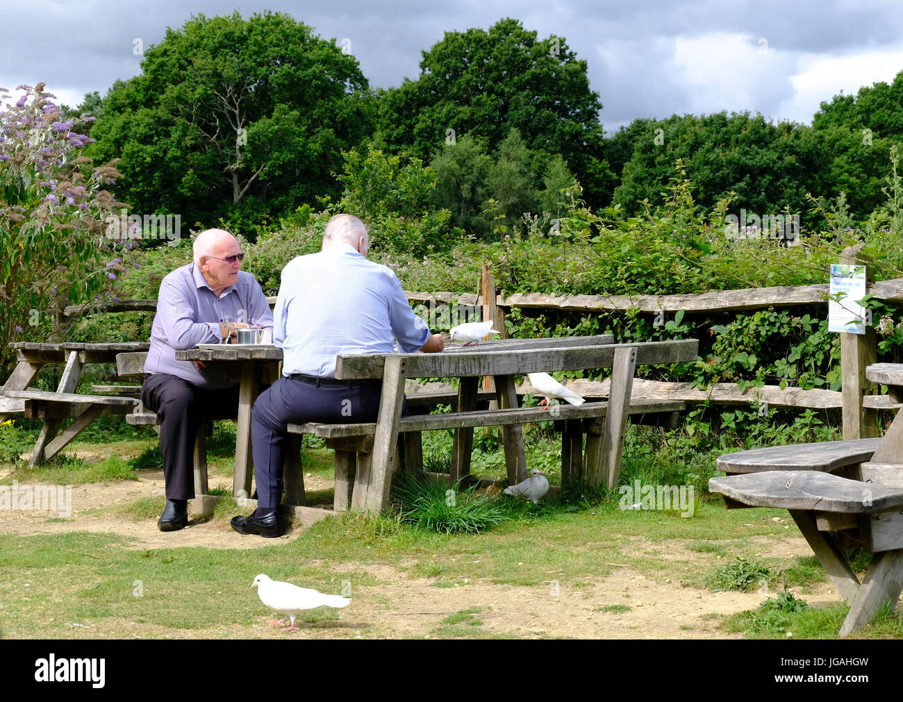 Two mature men sitting at picnic table in the sunshine and feeding white doves Stock Photo