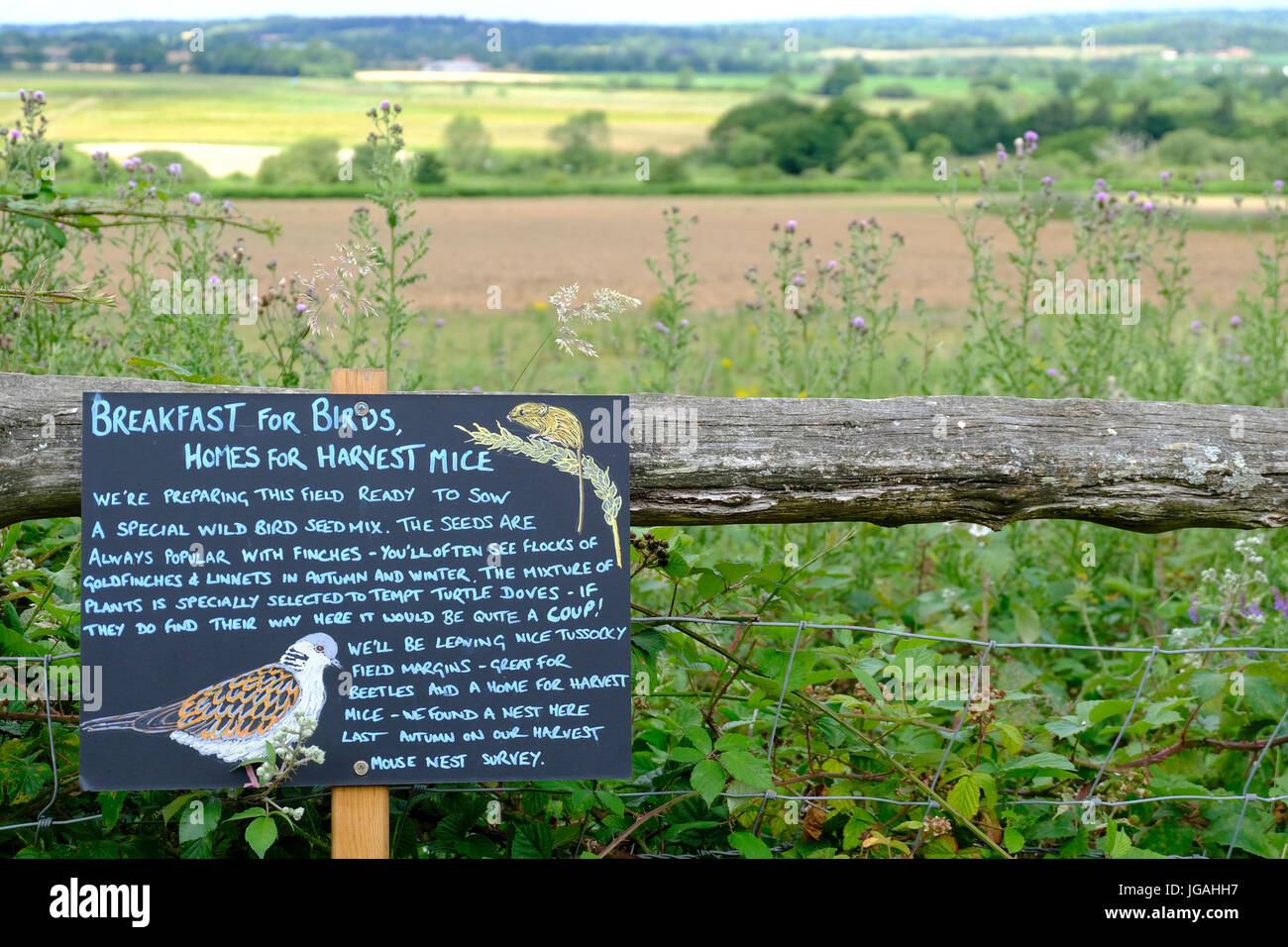 West Sussex, UK. Nature information sign at RSPB nature reserve Stock Photo
