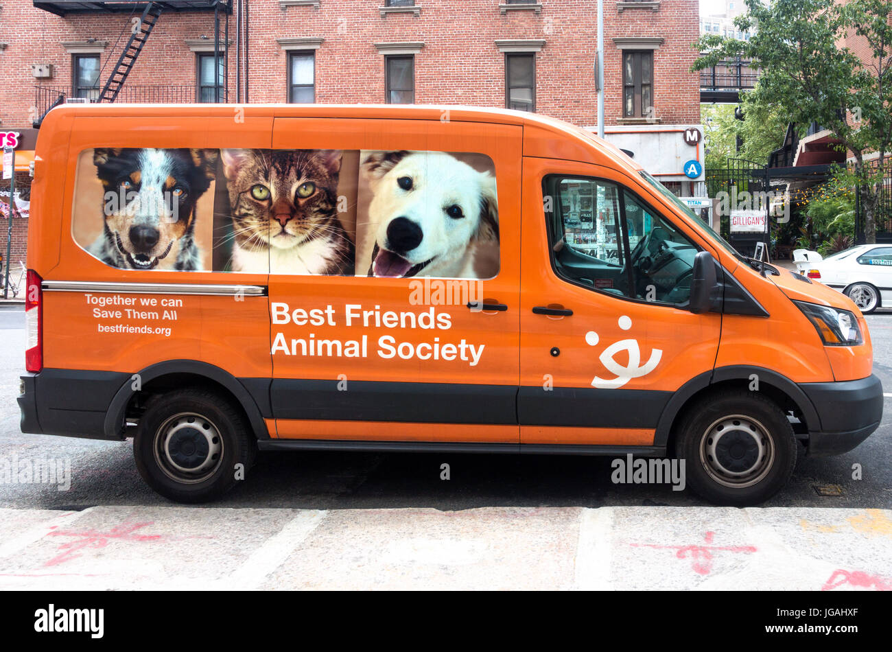 Download Best Friends Animal Society New York Images