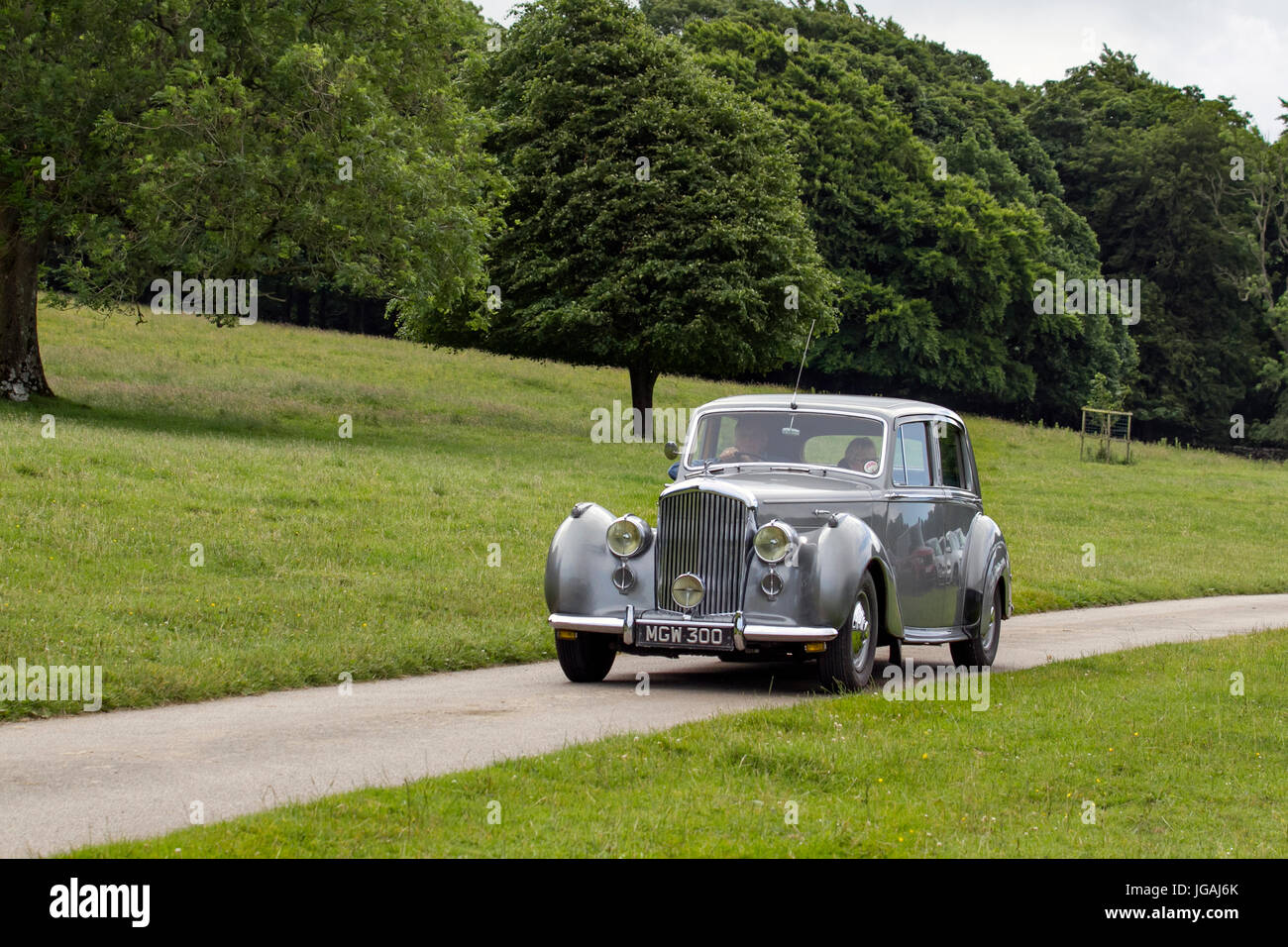 1951 50s grey Bentley 4566cc petrol 50s Classic sedan, collectable restored vintage vehicles being driven in woodland park, UK Stock Photo