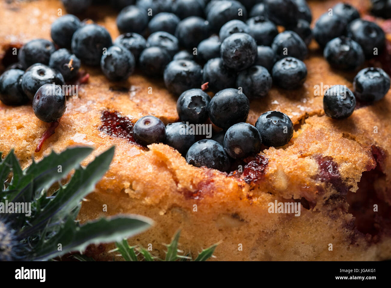 Homemade blueberry pie macro close up Stock Photo