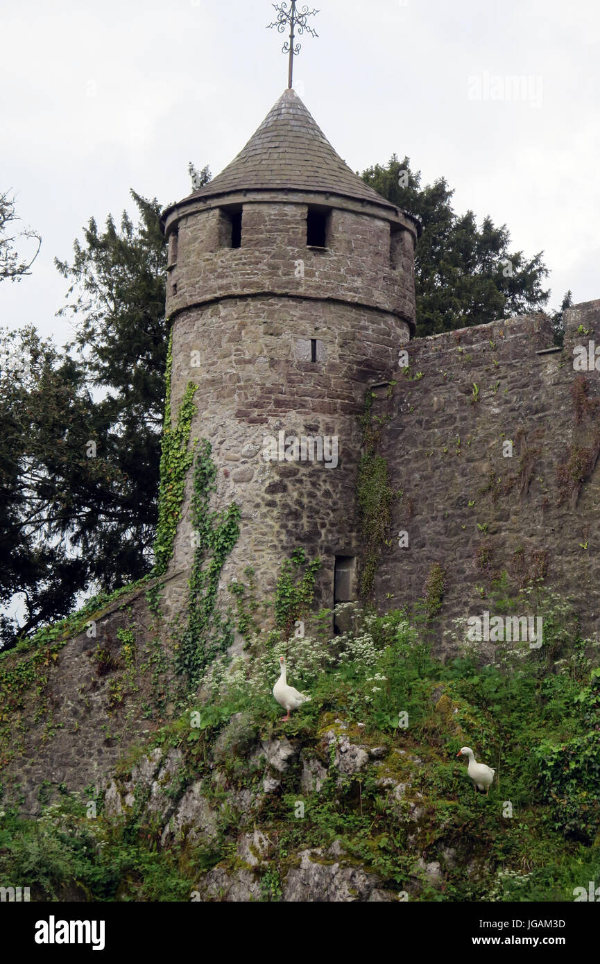 Cahir Castle, Cahir, Tipperary, Ireland Stock Photo