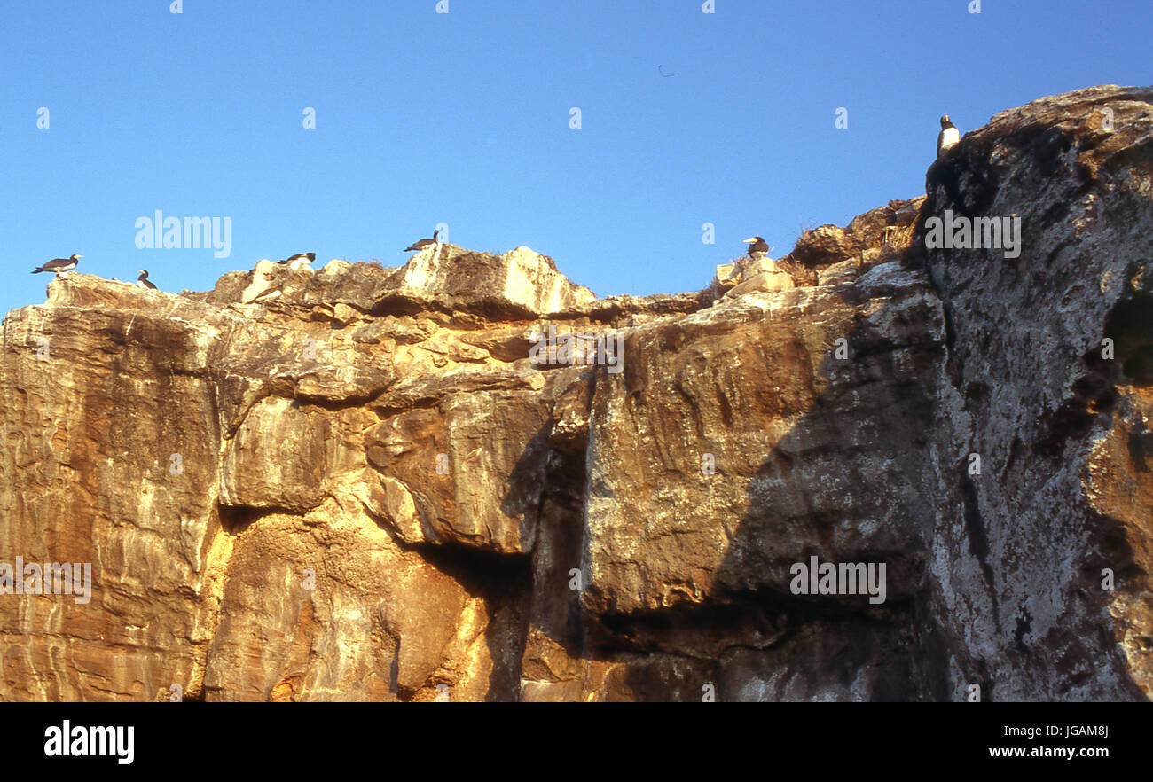Rock, stones, Abrolhos, Bahia, Brazil Stock Photo - Alamy