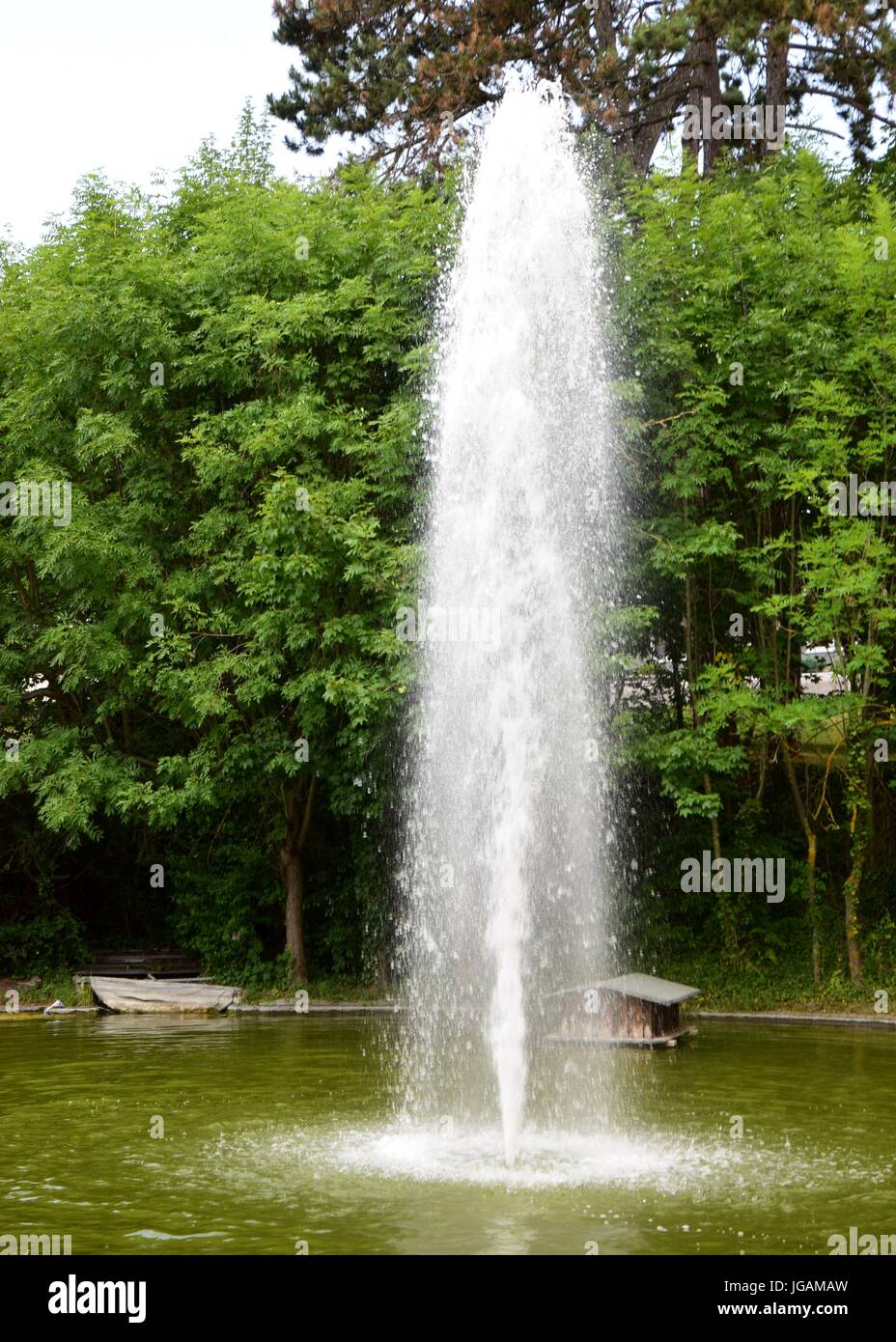 Springbrunnen im Teich, Gartenteich, fountains in a garden pond Stock Photo