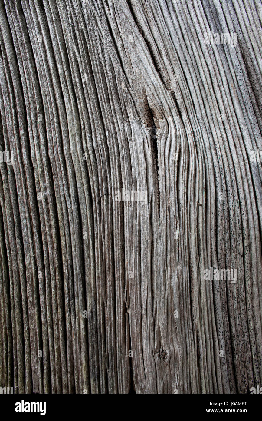 Weathered wood with grain showing Stock Photo Alamy