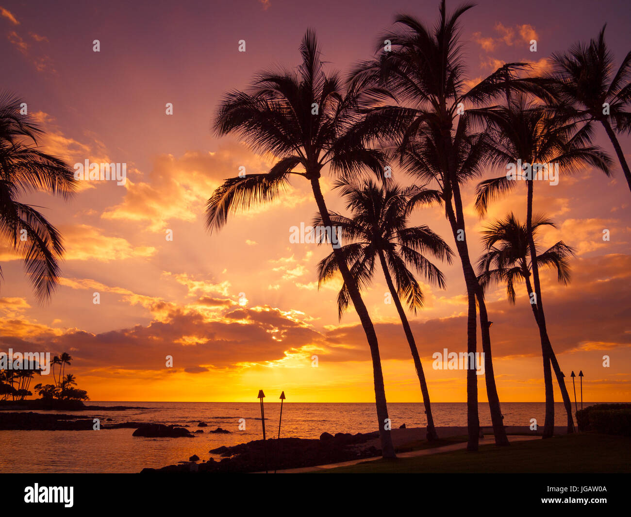 A beautiful sunset and silhouetted coconut palm trees as seen from Pauoa Bay at the Fairmont Orchid, Kohala Coast, Hawaii. Stock Photo