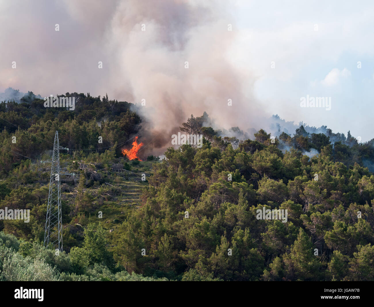 Burning pine forest hires stock photography and images Alamy