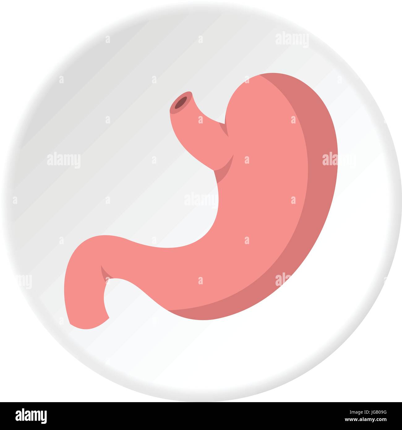 Stomach icon circle Stock Vector Image & Art - Alamy