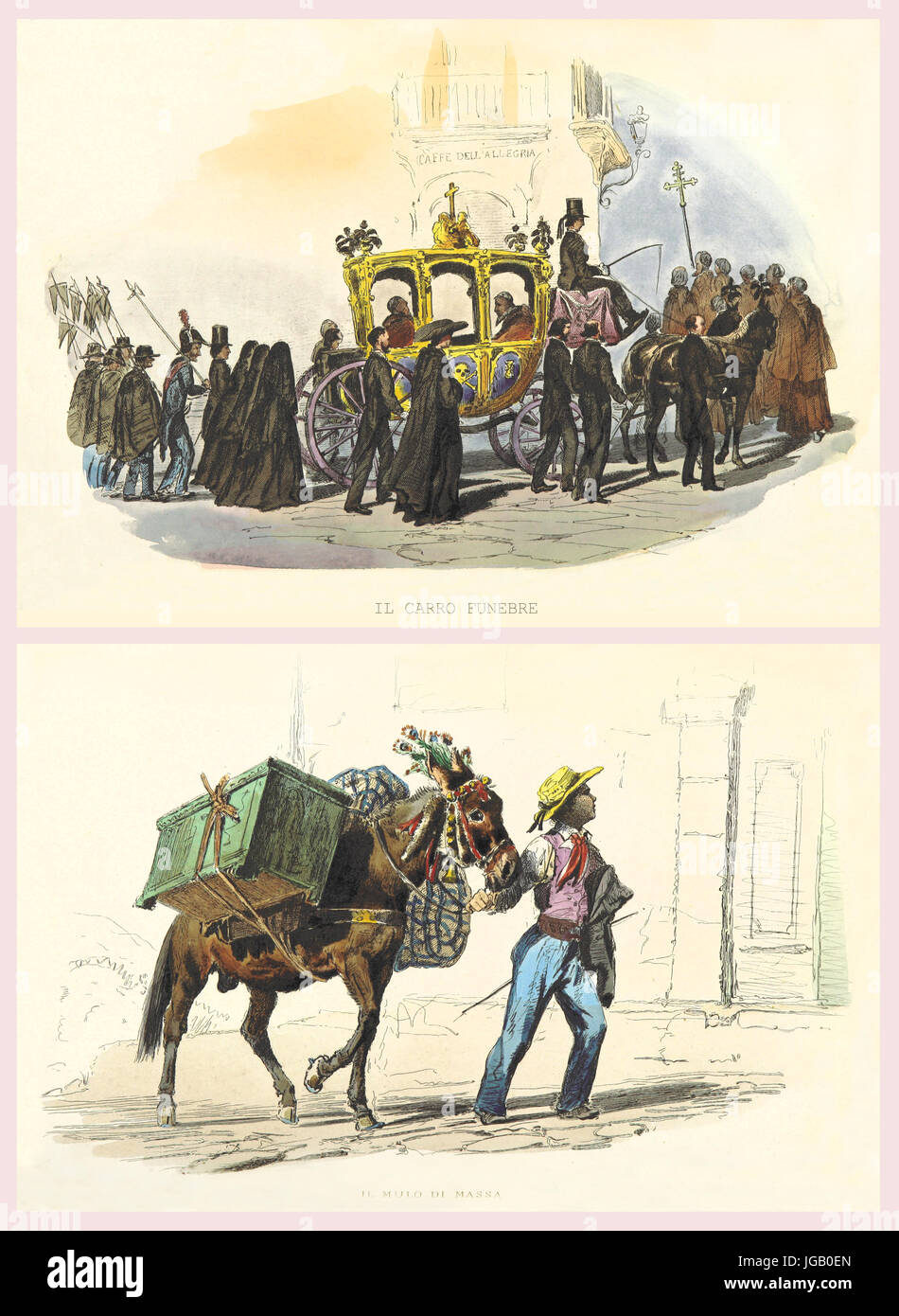 Neapolitan horse hi-res stock photography and images - Alamy