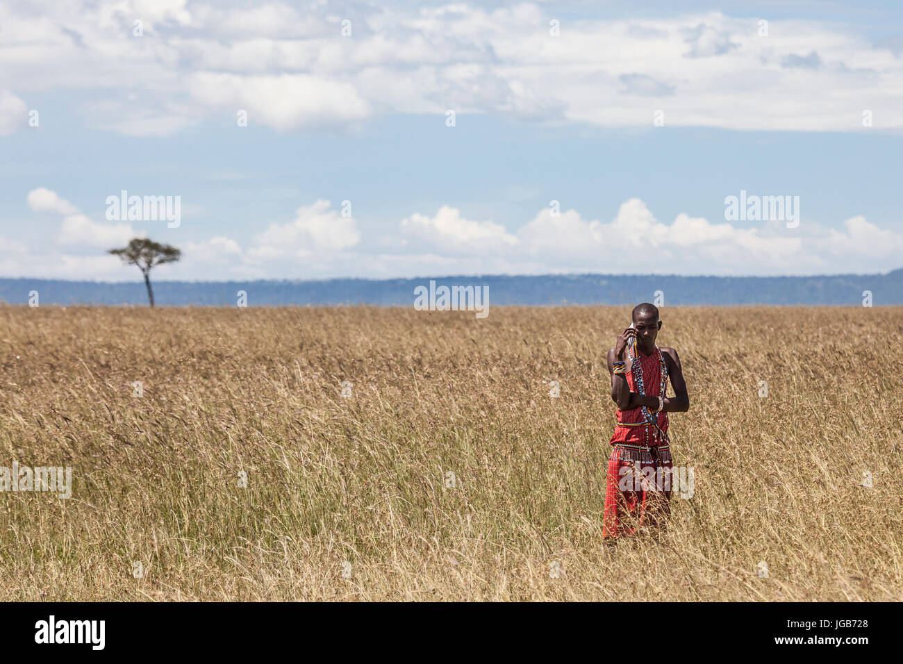 Masai warrior speaking on the phone in the savannah, Masai Mara, Kenya. Stock Photo