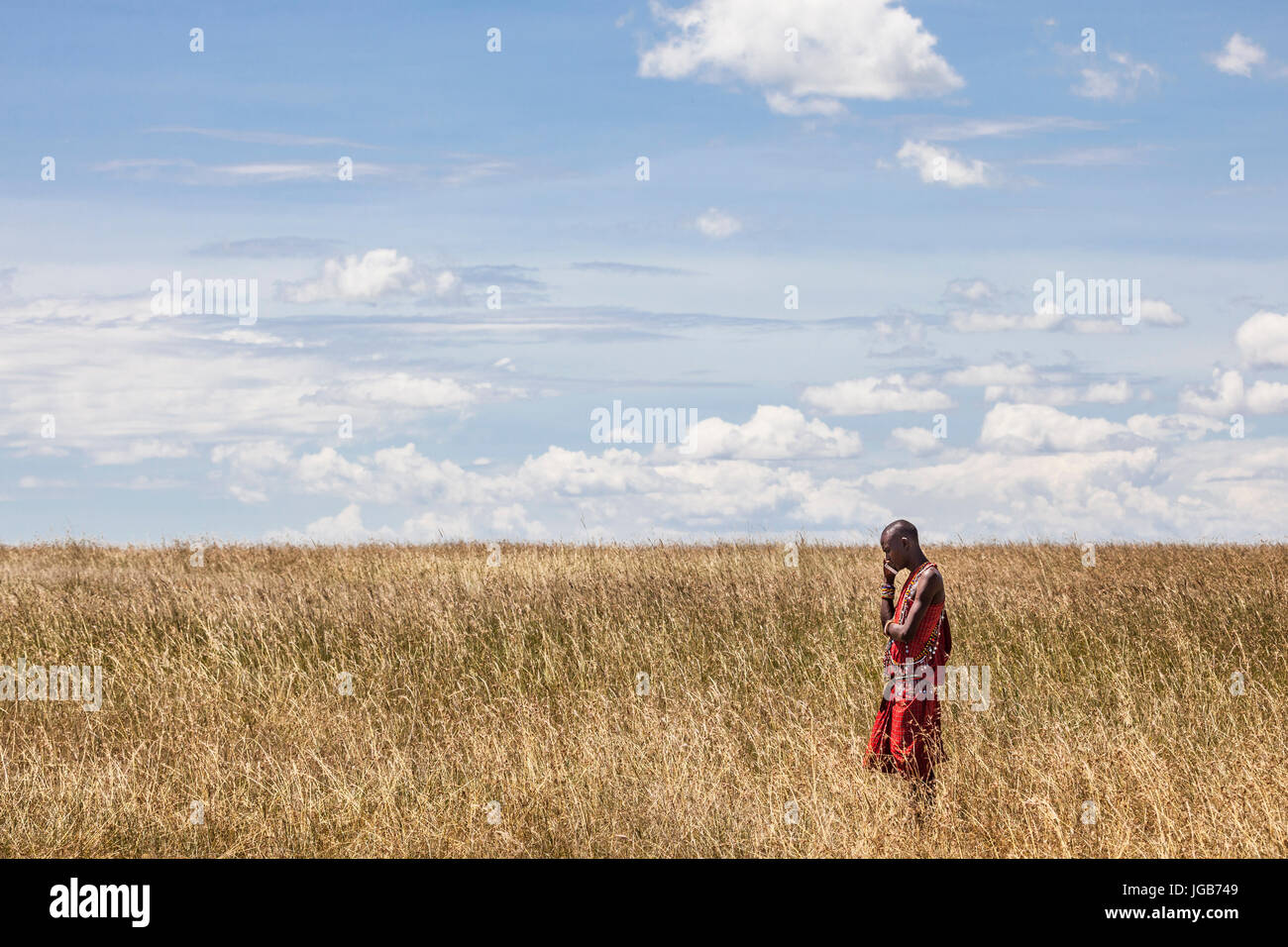 Masai warrior speaking on the phone in the savannah, Masai Mara, Kenya. Stock Photo