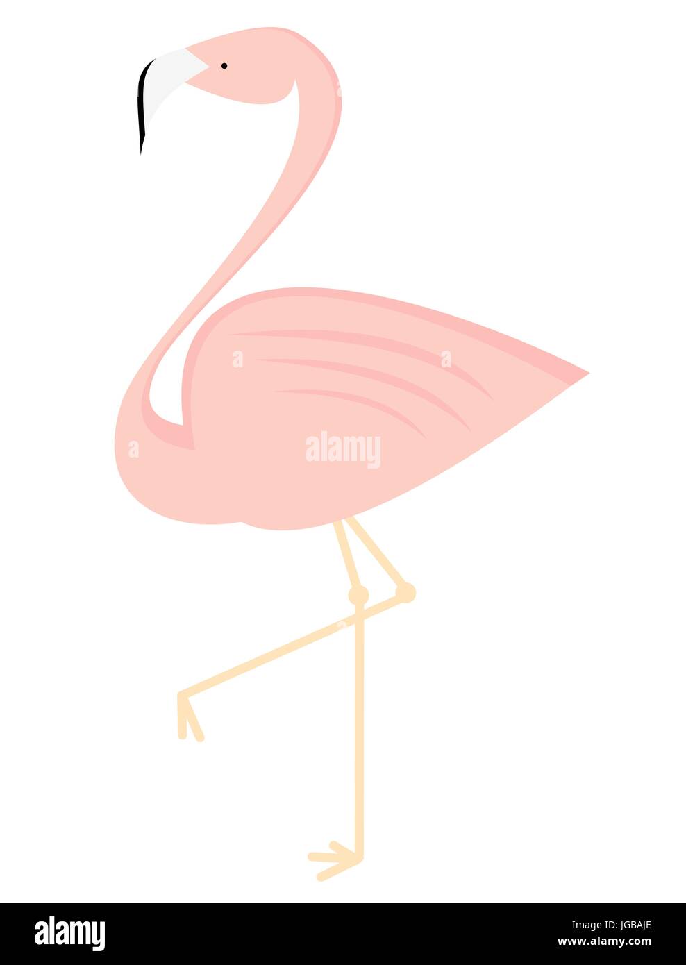 cute flamingo isolated on white background vector illustration Stock ...