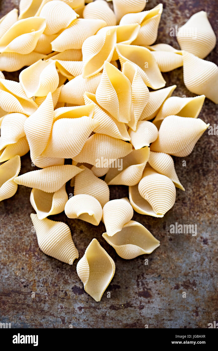 Textured seashell dundrum semolina pasta Italian bronze die