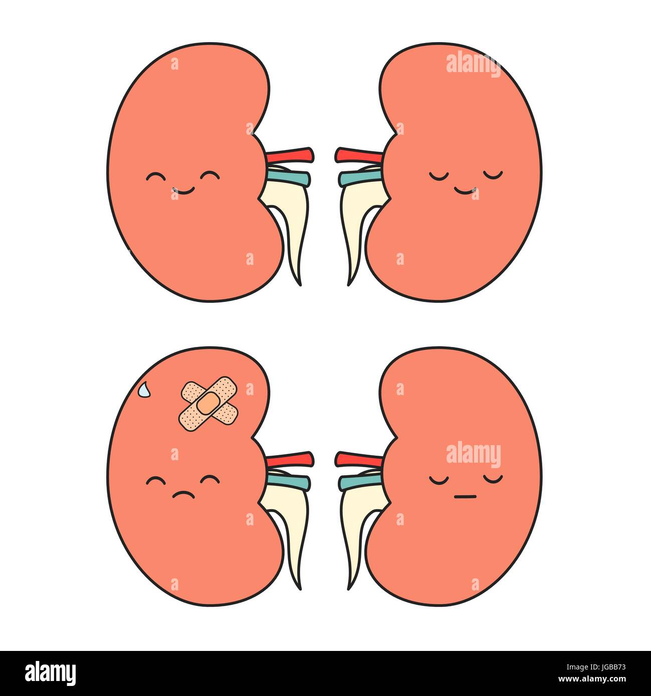 cute cartoon kidney vector illustration isolated on white background Stock  Vector Image & Art - Alamy