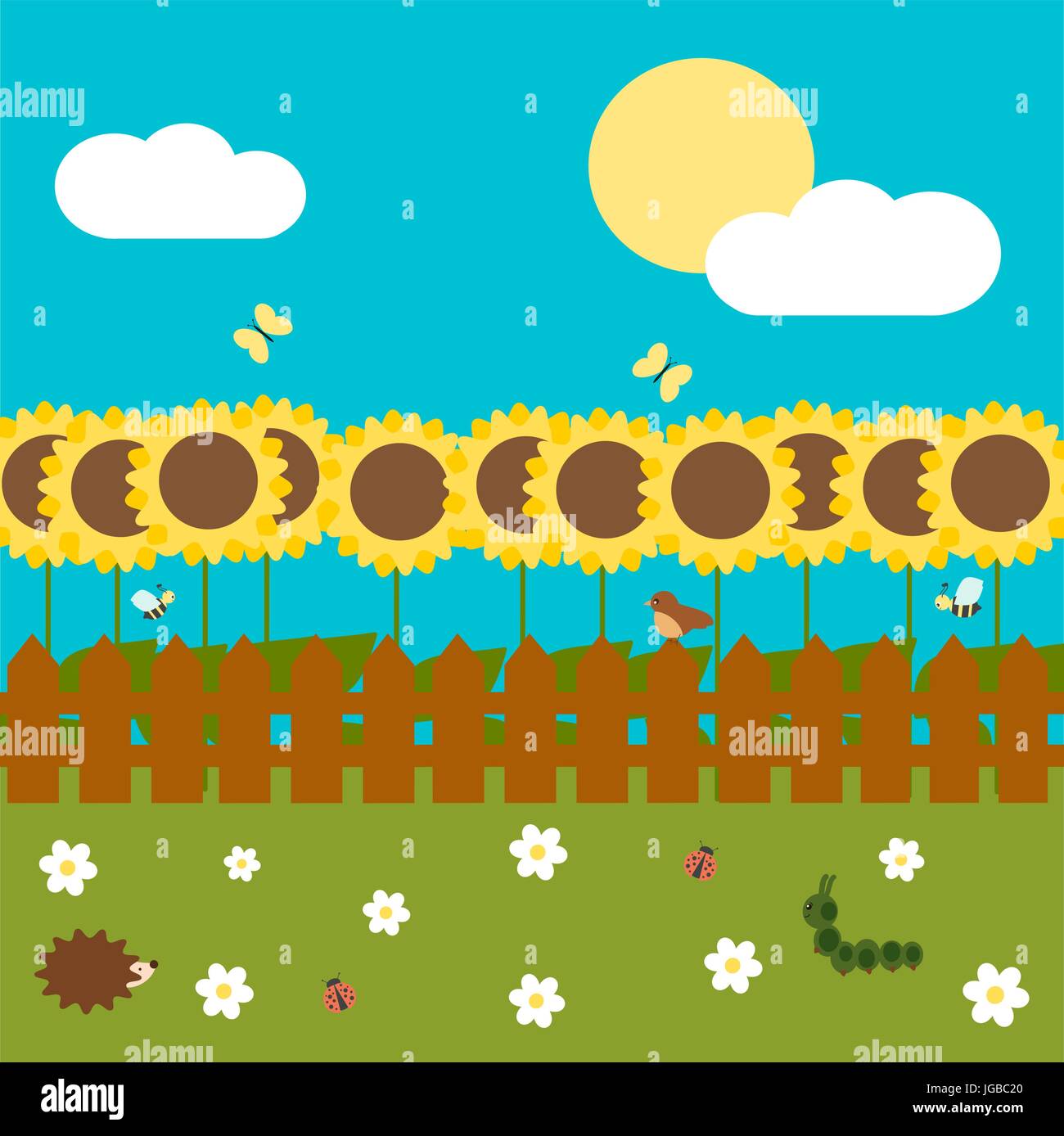 colorful cartoon sunflower garden with fence in a sunny day vector spring  illustration Stock Vector Image & Art - Alamy