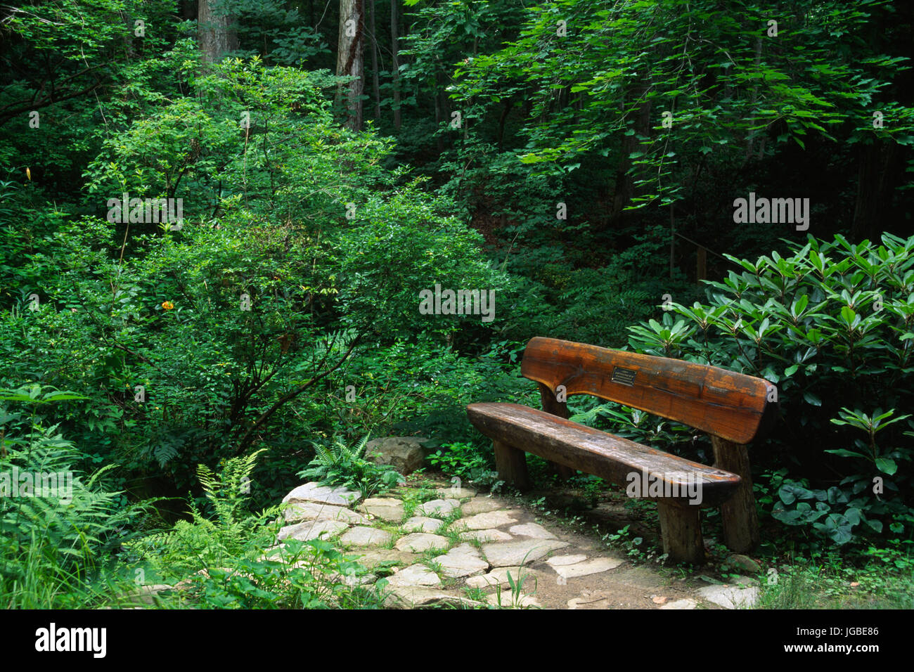 Bench The Botanical Gardens At Asheville Asheville North