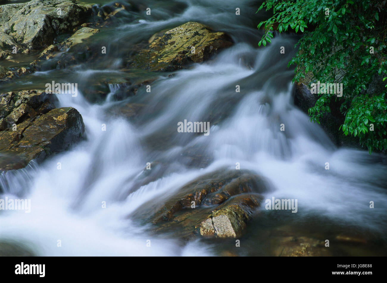 North Prong Little Pigeon River, Great Smoky Mountains National Park, North Carolina Stock Photo