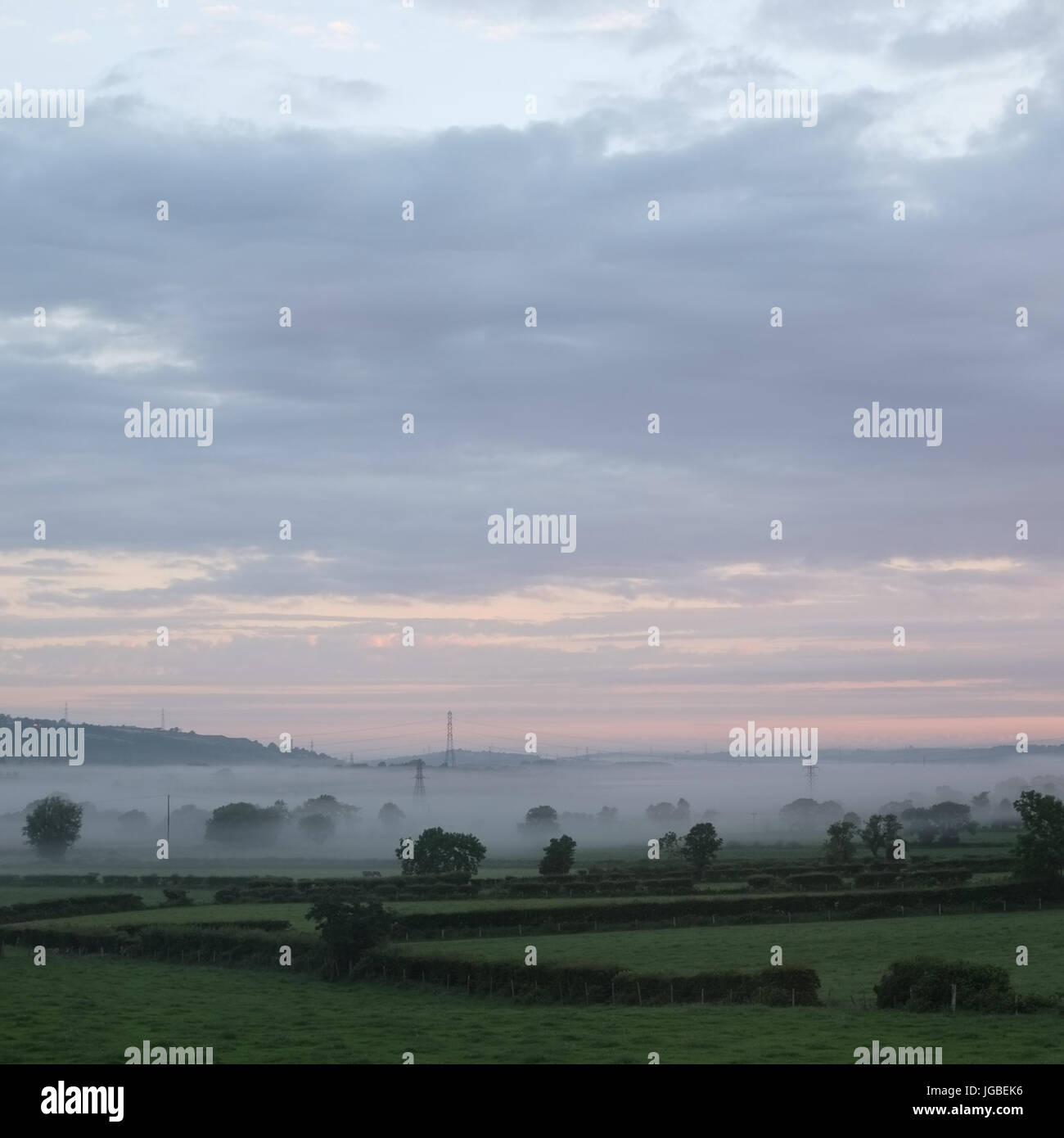 Early morning mist in fields near Whitehead, County Antrim Stock Photo