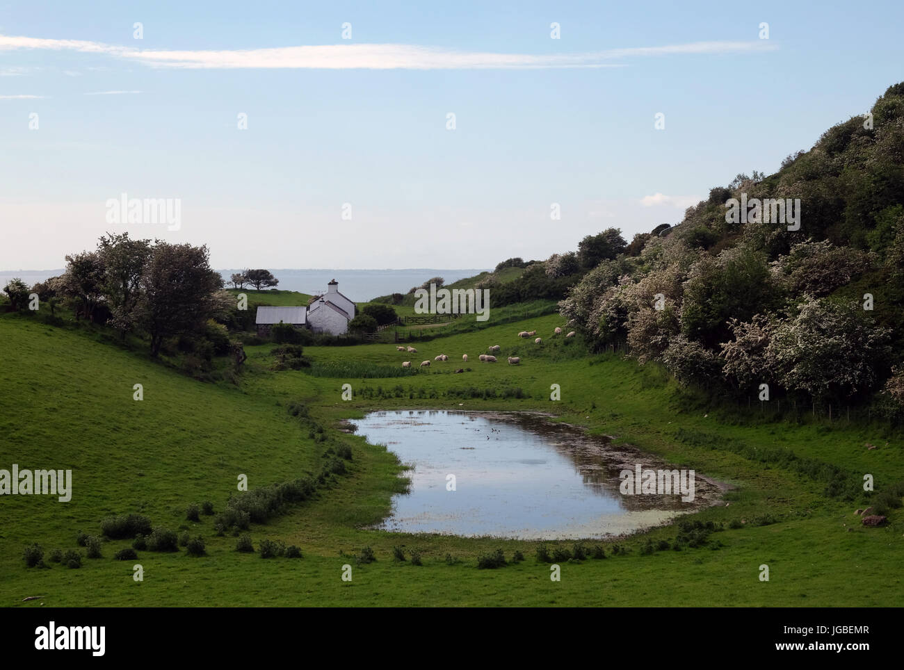 House & duck pond, Islandmagee, Northern Ireland Stock Photo Alamy