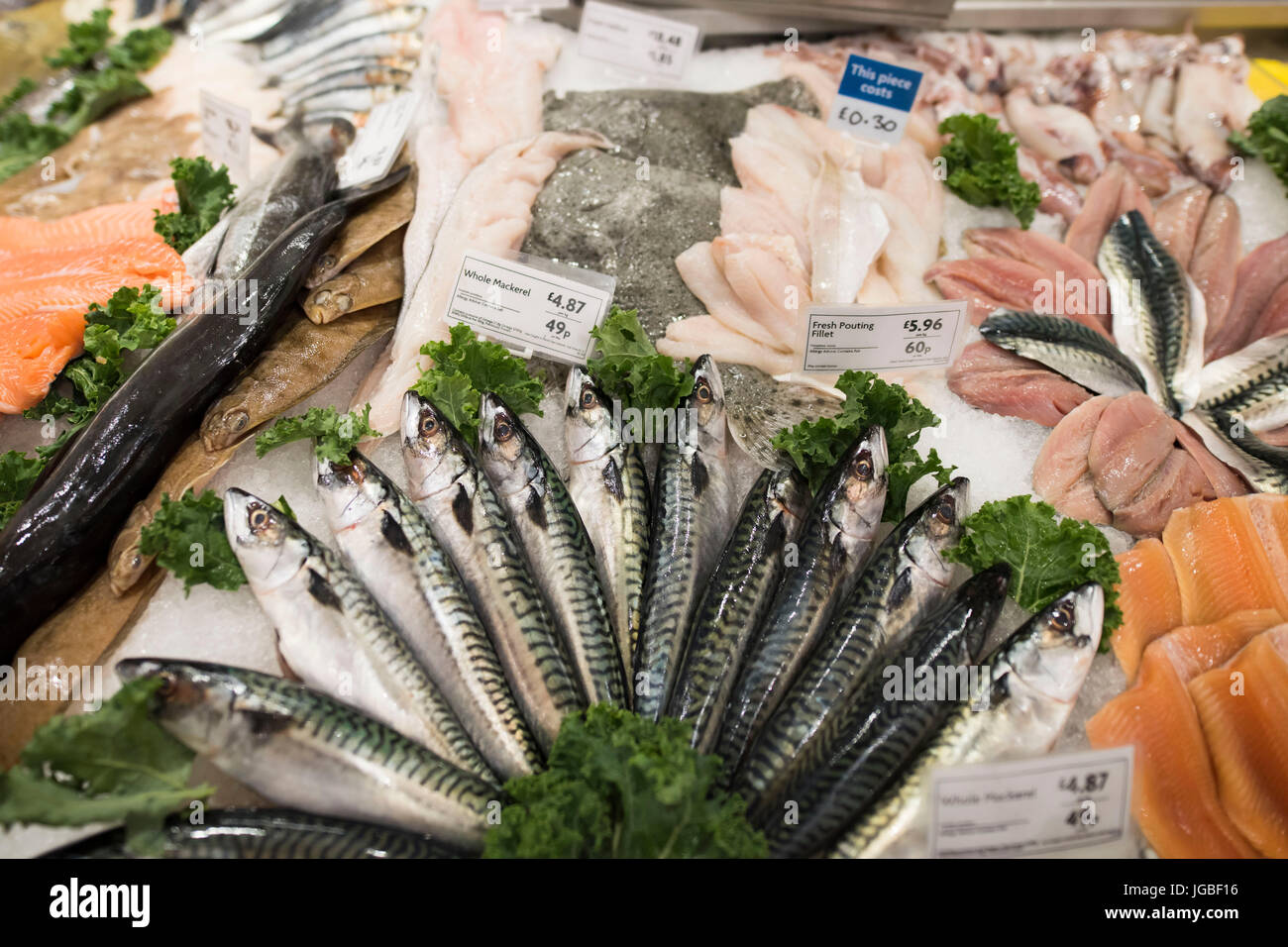 Fresh fish on display for sale in a supermarket fishmongers store. Stock Photo