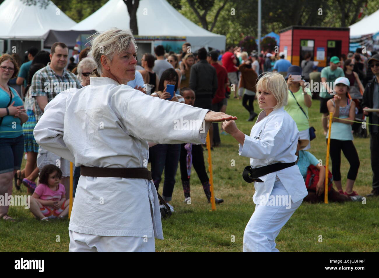 Martial Arts demonstration at the Edmonton Heritage Days festival, 2016