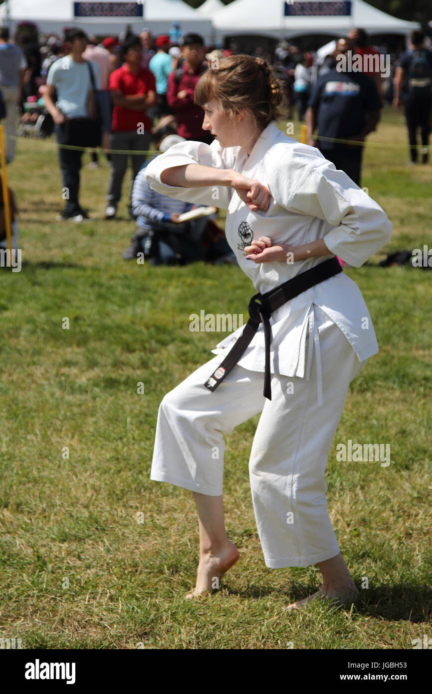 Martial Arts Demonstration at the Edmonton Heritage Days festival Stock