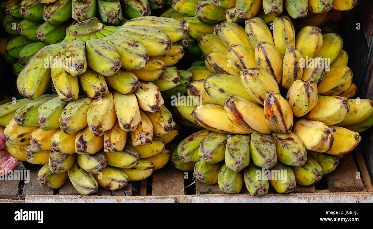 Cultivated banana for retail sale at local fruits market in Philippines