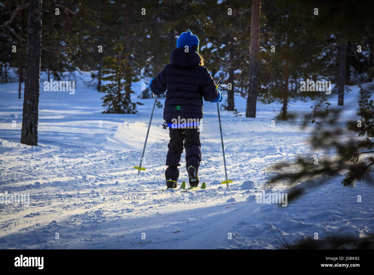Young child skiing into the forest, into the sun, creating silhouette. Back to camera, no face. Stock Photo