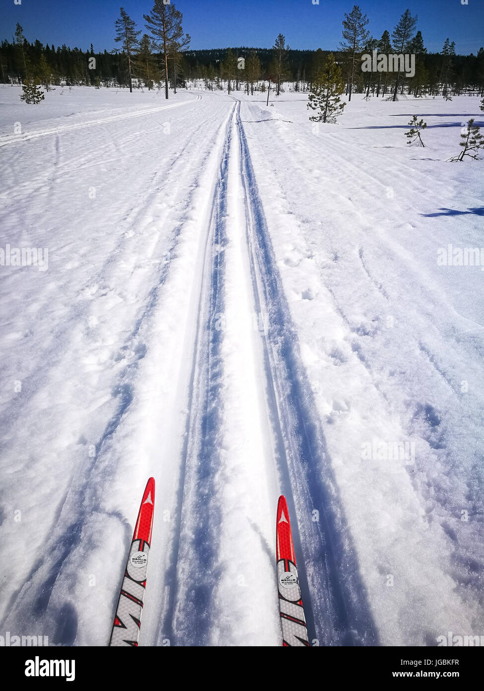 Tip of two cross country skis in groomed tracks, view from athlete's position Stock Photo