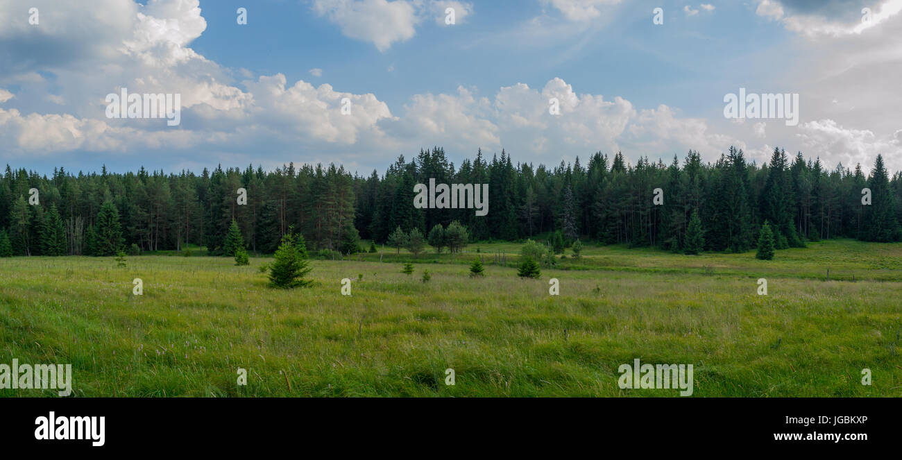 Sumava national park hi-res stock photography and images - Alamy
