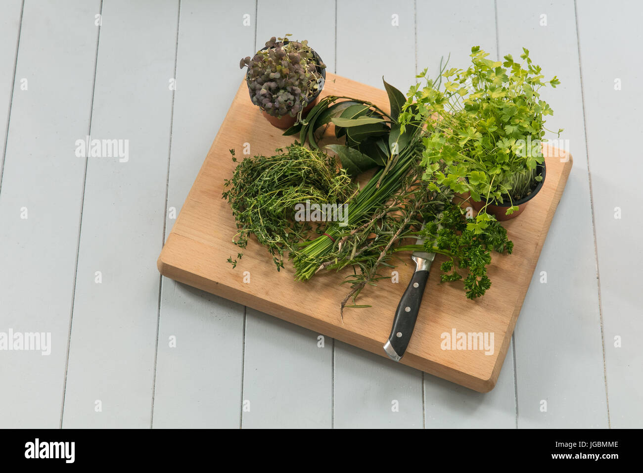 Fresh herbs on a chopping board Stock Photo Alamy