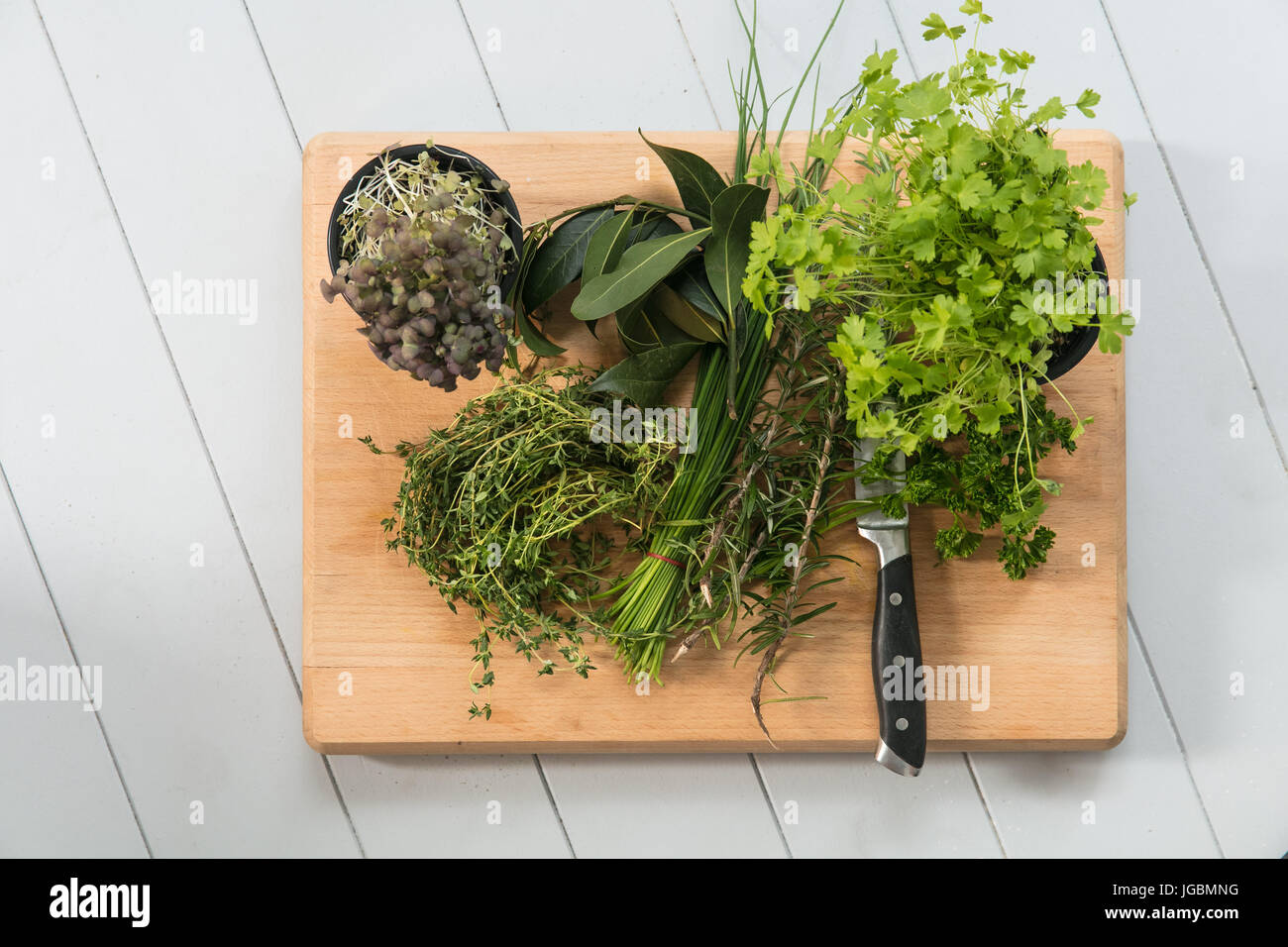 Corriander herb hi-res stock photography and images - Alamy
