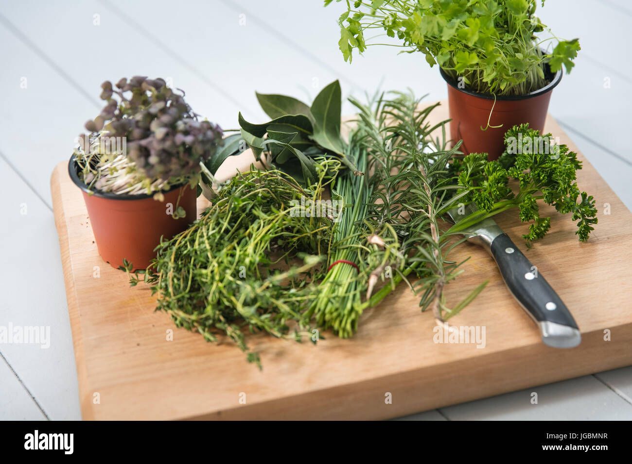 Fresh herbs on a chopping board Stock Photo Alamy