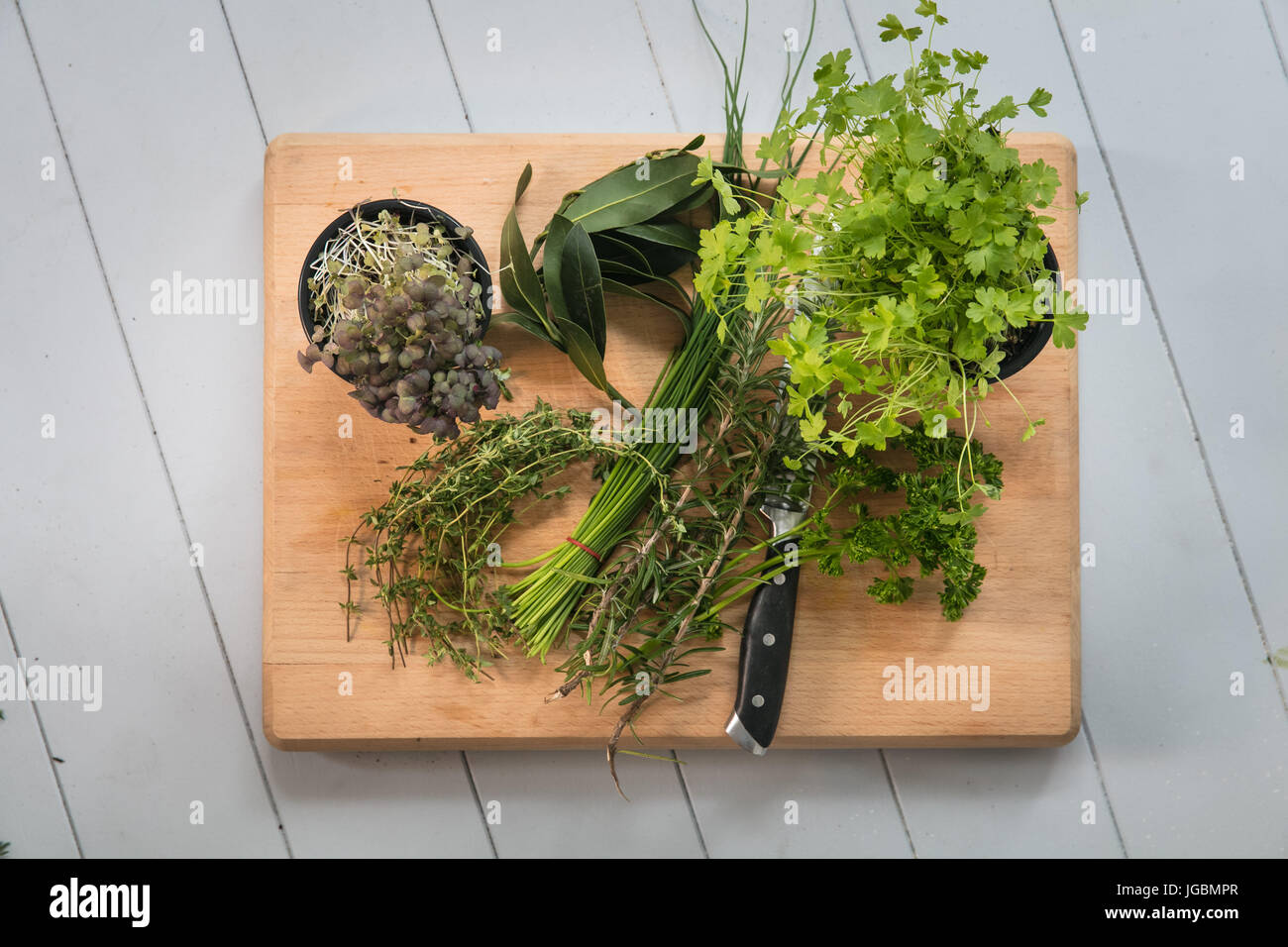 Fresh herbs on a chopping board Stock Photo Alamy