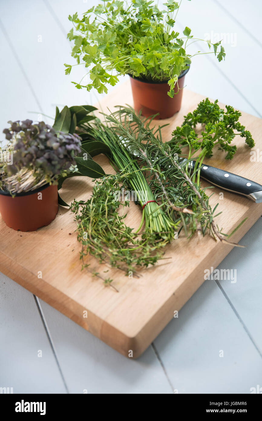 Fresh herbs on a chopping board Stock Photo Alamy