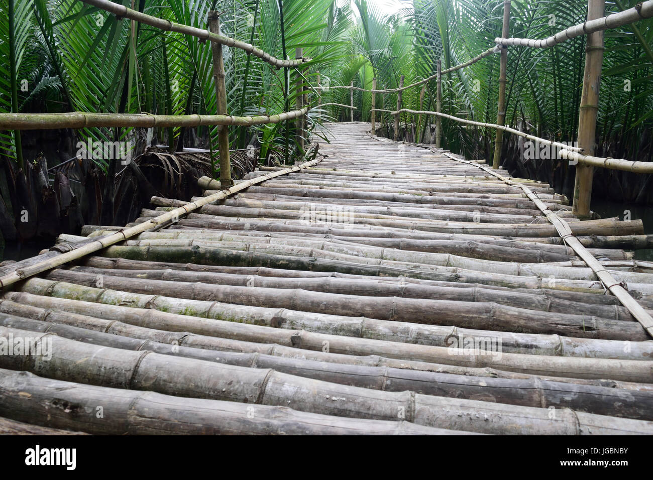 Bamboo bridge Stock Photo