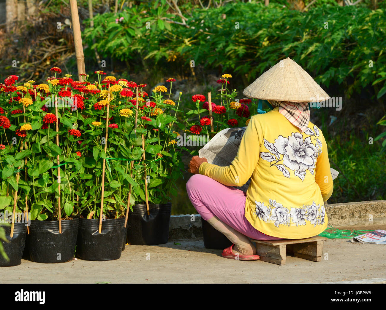 Ben Tre, Vietnam - Feb 1, 2015. People take care flowers at the garden in Mekong Delta, Vietnam. Stock Photo