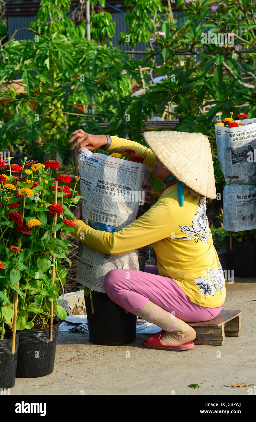 Ben Tre, Vietnam - Feb 1, 2015. A Vietnamese woman  takes care flowers at the garden in Mekong Delta, Vietnam. Stock Photo