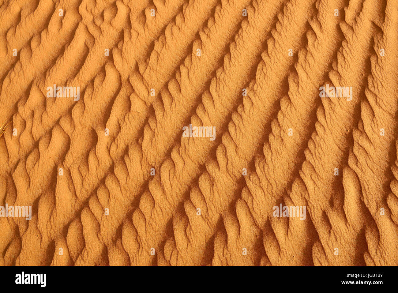 Sand ripples in the sand, dunes, Rub al Khali desert, Dhofar, Oman Stock Photo