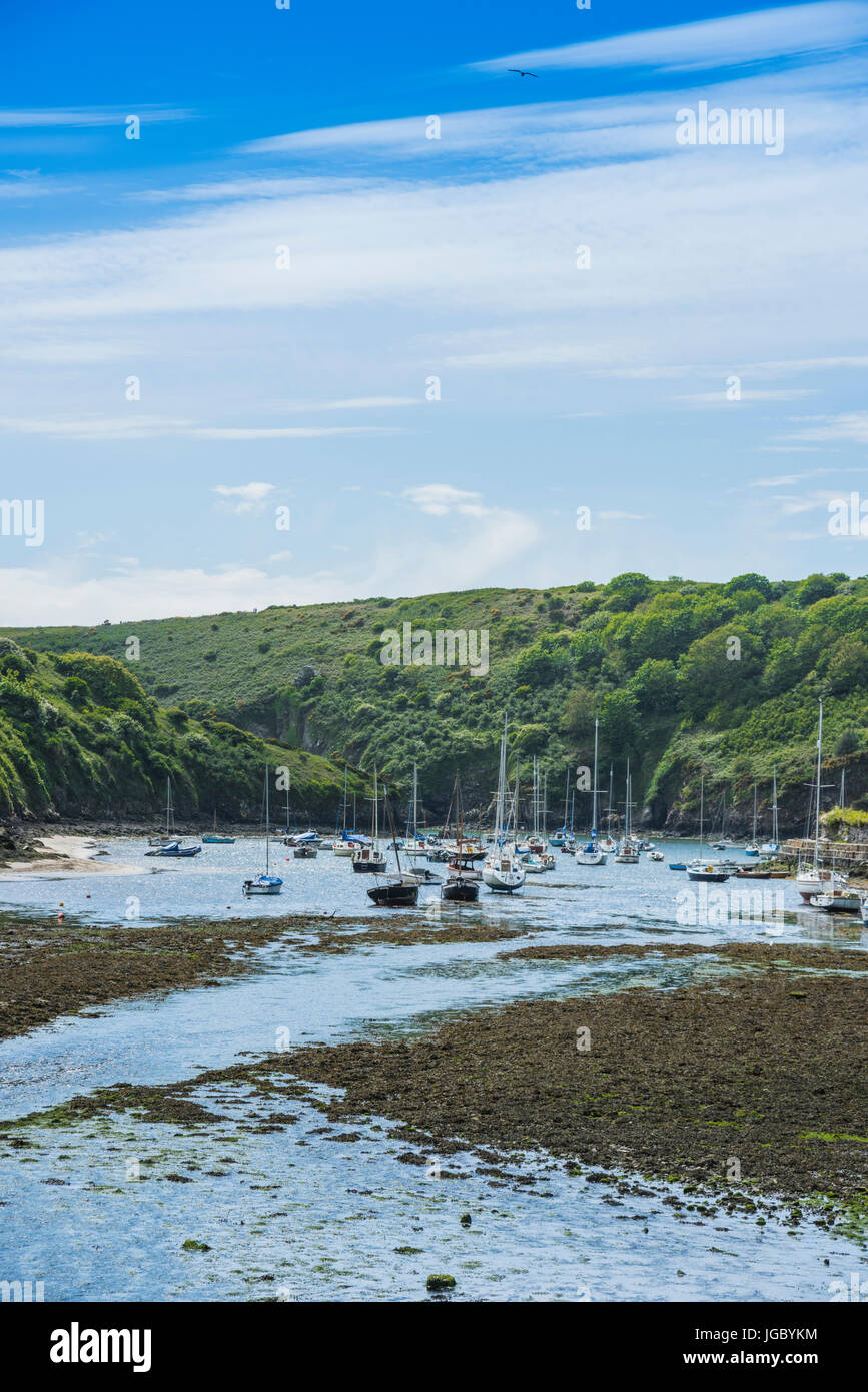 Outside the harbour of solva hi-res stock photography and images - Alamy
