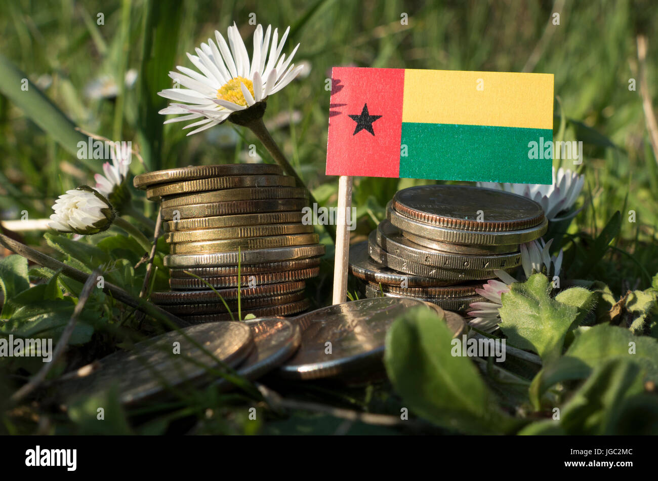Guinea Bissau flag with stack of money coins with grass and flowers Stock Photo