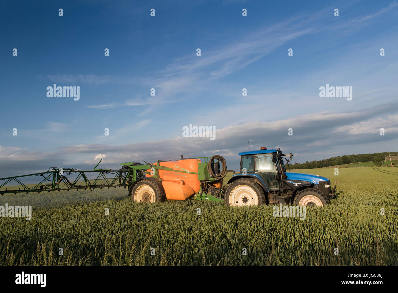 Farmer spraying wheat crop with a herbicide on a summers evening, Co. Durham, UK Stock Photo Alamy