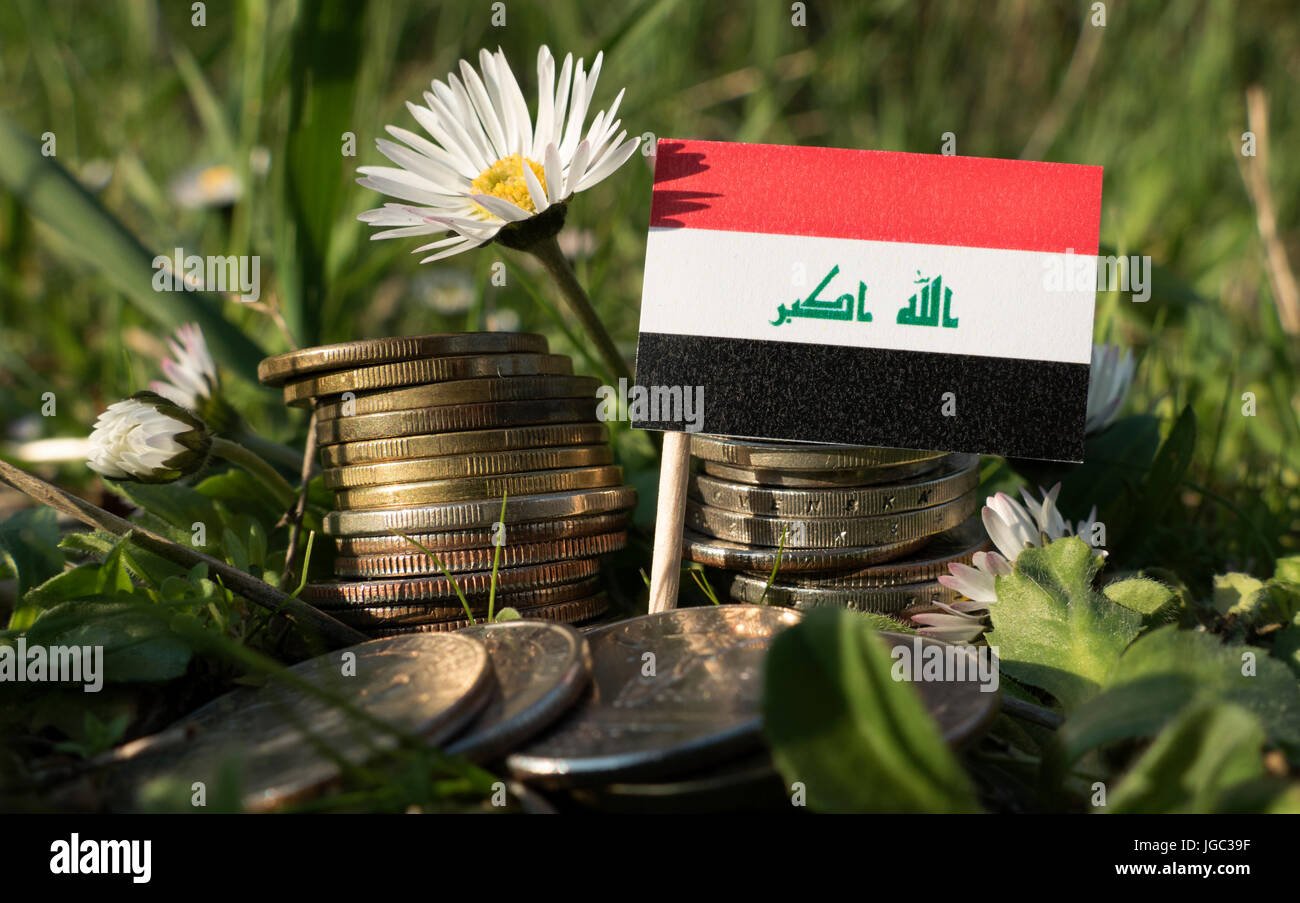 Iraq Money Stack Iraqi flag with stack of money coins with grass and flowers Stock Photo ...