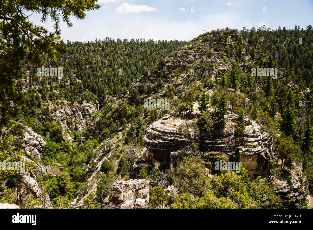 Walnut Canyon National Monument, Arizona, USA Stock Photo